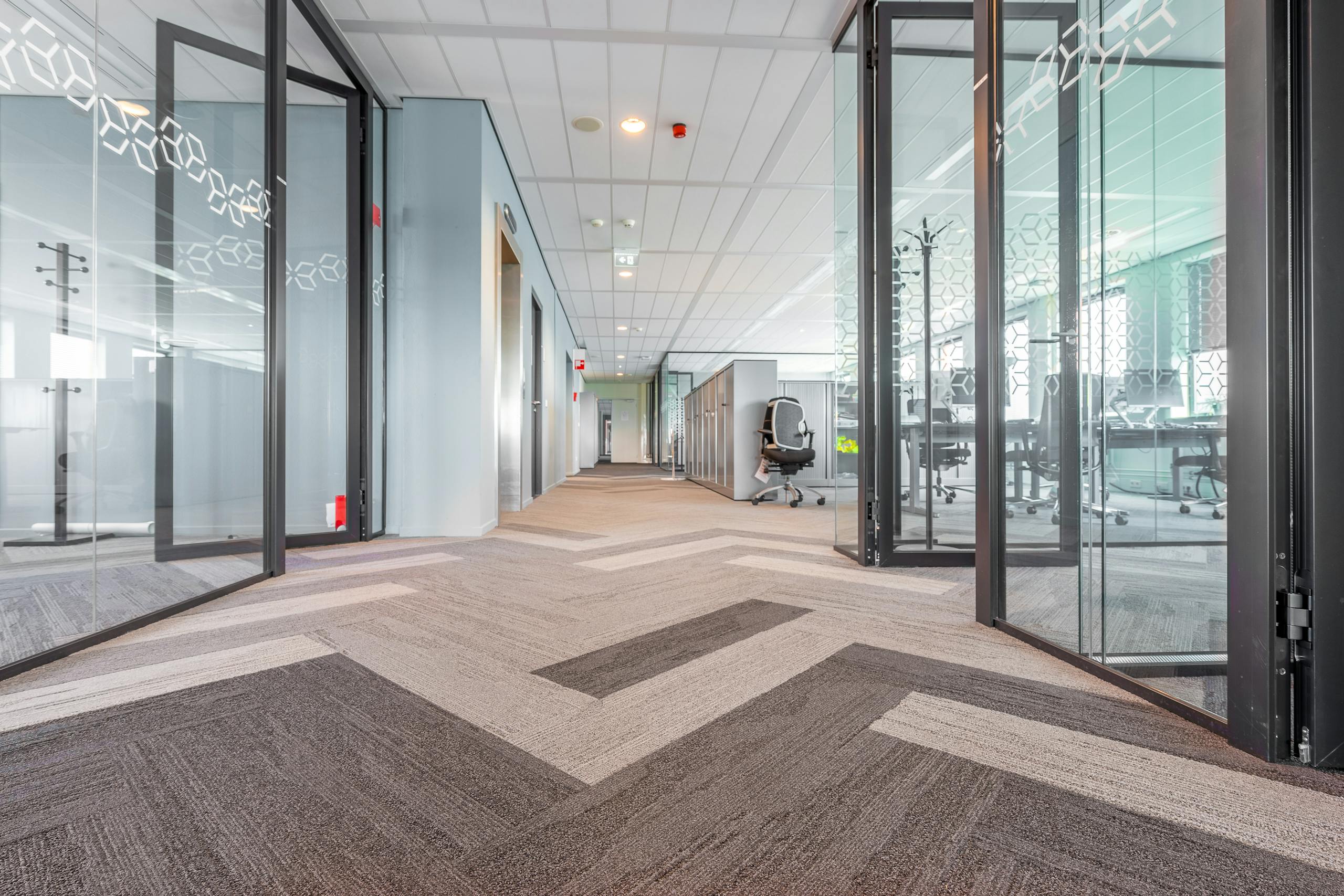 Commercial office space with freshly cleaned carpets