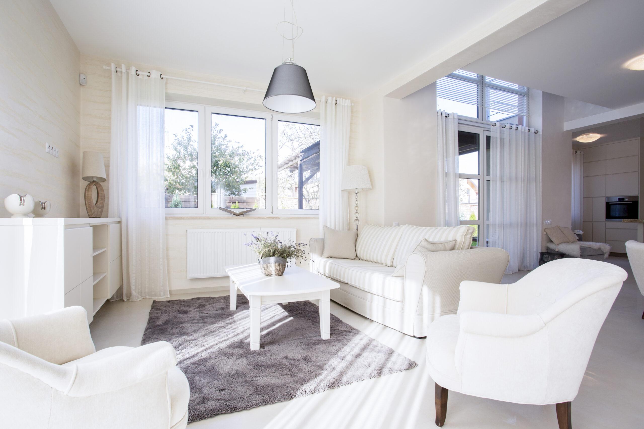 Carpet cleaning and upholstery furniture cleaning in Penhold