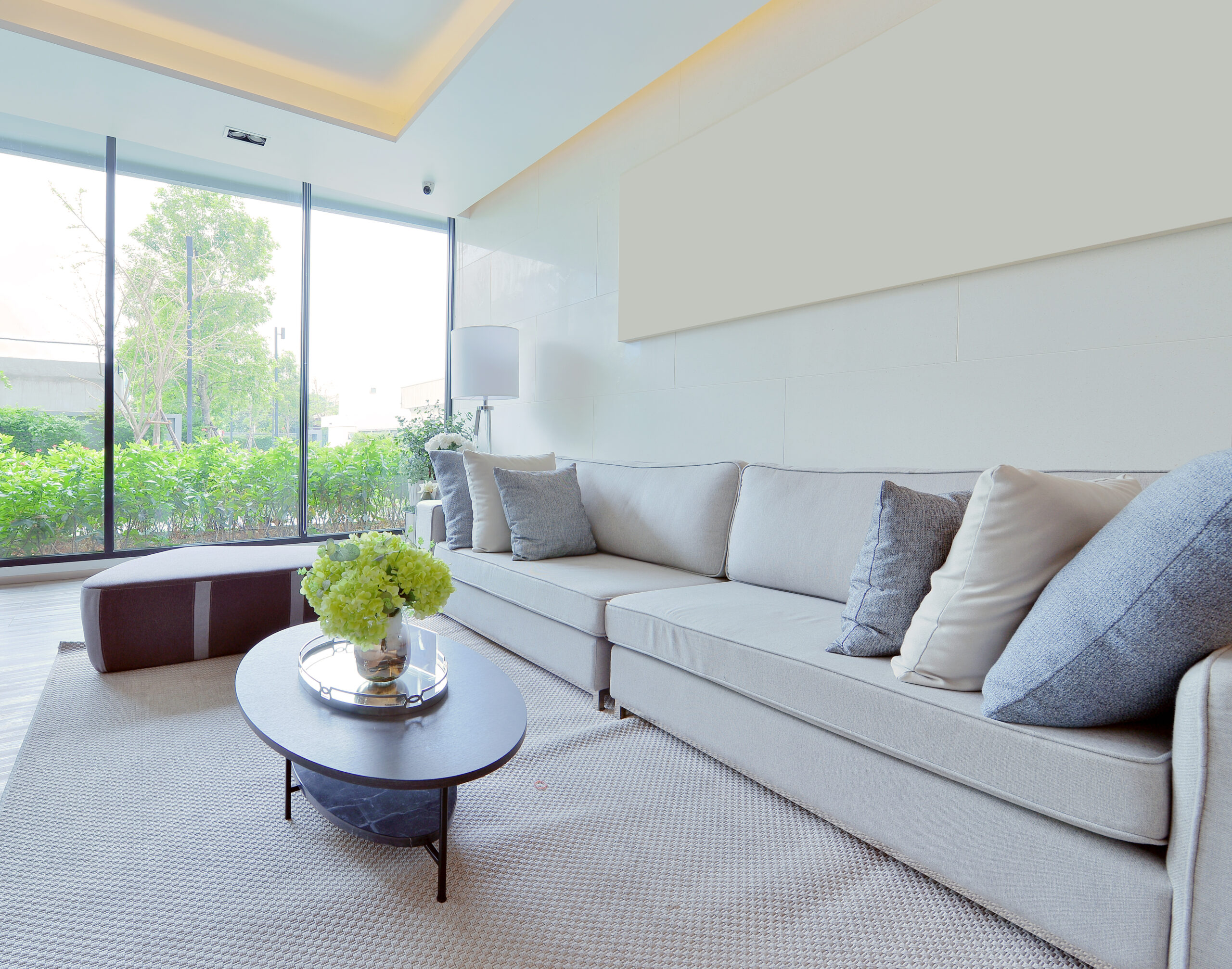 professional carpet cleaners and upholstery furniture cleaners in Lacombe, Alberta