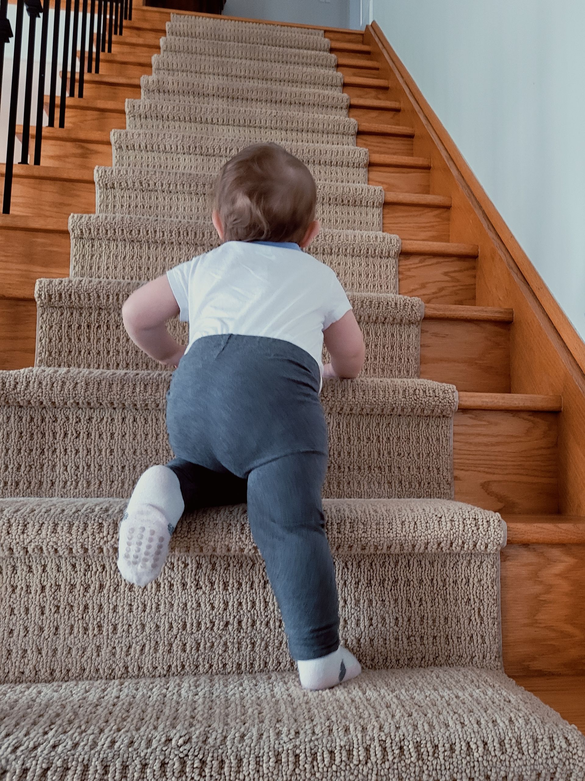 Baby crawling up freshly cleaned carpeted stairs in a family home