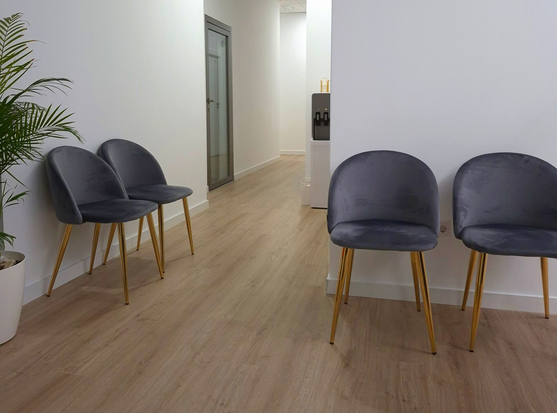 A sleek and modern waiting room featuring gray chairs, a plant, and wood flooring.
